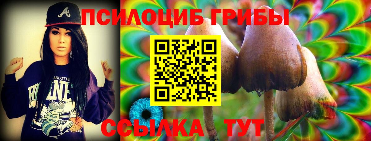 Бузулук  Псилоцибиновые грибы ЛСД  Галлюциногенные грибы Psilocybe  Вход с VPN 