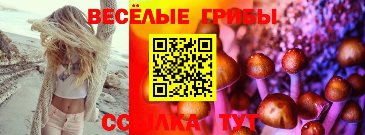 Псилоцибиновые грибы MAGIC MUSHROOMS Бузулук